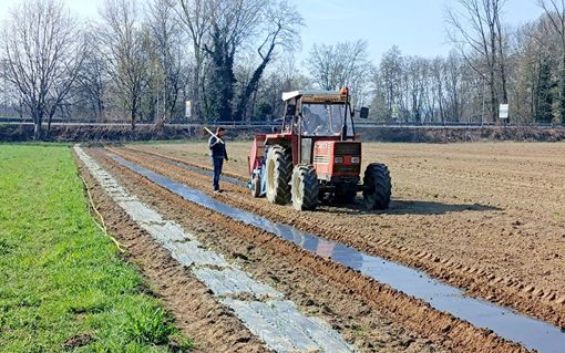 Siccità in agricoltura. A Borgomanero ricerca di soluzioni con la collaborazione tra Coldiretti, Novamont e Legambiente