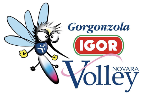 La Igor Novara chiede di rispettare il dolore della squadra