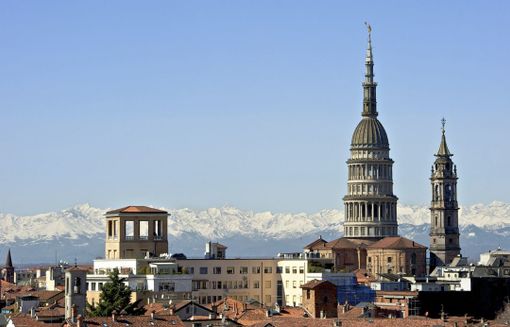 Novara tra le città meno naturali d’Italia: un campanello d'allarme per la biodiversità urbana