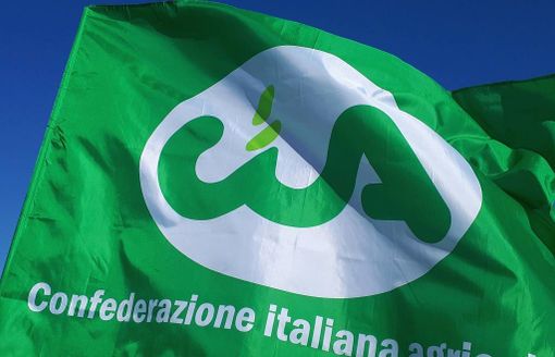 Incontri di fine anno per i soci di Cia Novara Vercelli VCO