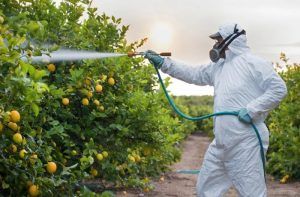 Von der Leyen blocca la norma sui fitorarmaci, Coldiretti: "Serve approccio più realistico" Von der Leyen blocca la norma sui fitorarmaci, Coldiretti: "Serve approccio più realistico"