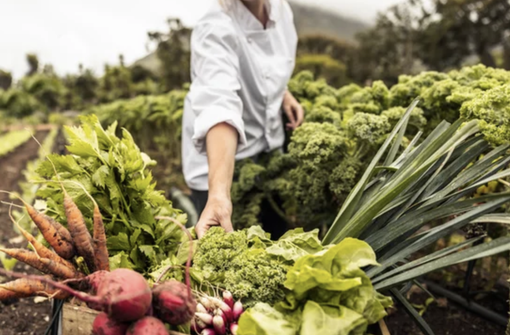 Bando regionale per la sistemazione temporanea dei lavoratori salariati delle aziende agricole Bando regionale per la sistemazione temporanea dei lavoratori salariati delle aziende agricole