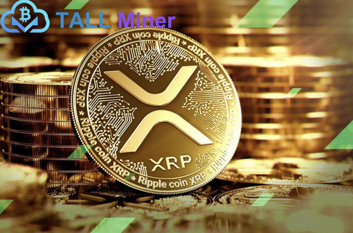 The Cloud Mining Revolution in 2025: Earn $6,500 a Day The Cloud Mining Revolution in 2025: Earn $6,500 a Day