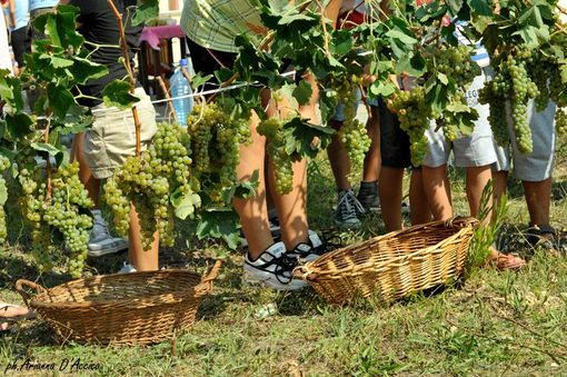 Tutto pronto per la 74a edizione della Festa dell’Uva di Borgomanero