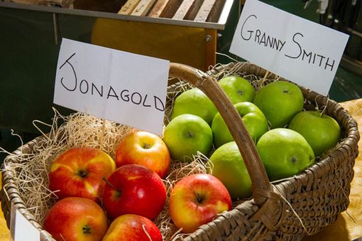 Confagricoltura Piemonte: &quot;Uno studio statunitense rivela che chi mangia mele diventa intelligente&quot;