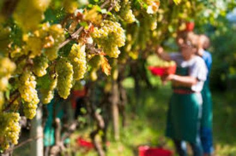 Immagine di repertorio