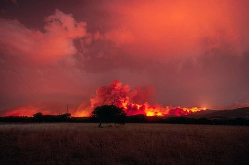 Incendi, dal Piemonte automezzi e un contingente Aib in aiuto di Sicilia e Sardegna Incendi, dal Piemonte automezzi e un contingente Aib in aiuto di Sicilia e Sardegna