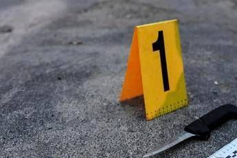 "Troppe armi da fuoco e coltelli in giro", Pd chiede lo stop in due proposte di legge "Troppe armi da fuoco e coltelli in giro", Pd chiede lo stop in due proposte di legge