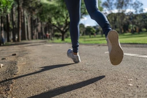Nasce la nuova Consulta Comunale dello Sport