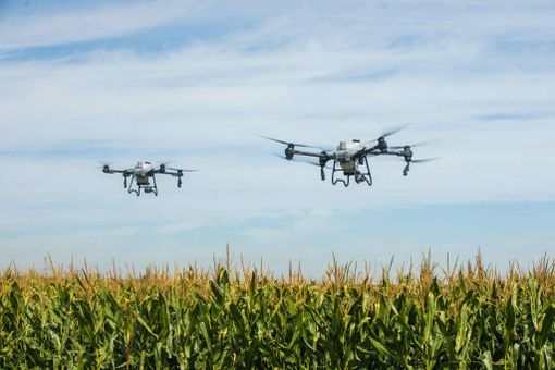 Via libera ai droni in agricoltura: una rivoluzione tecnologica per il settore