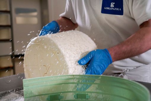 Gorgonzola dop, produzione da record nel 2025