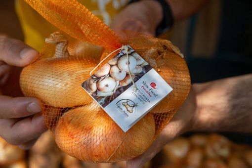 Terra Madre - Salone del gusto 2022, presentazione del Novarese e dei suoi prodotti tipici Terra Madre - Salone del gusto 2022, presentazione del Novarese e dei suoi prodotti tipici