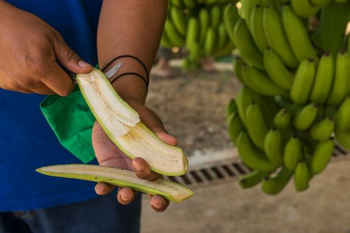 Dal 29 ottobre al 13 novembre all'Ipercoop di Novara si terrà la mostra sul commercio equo e solidale