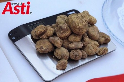 Asti in festa con la Fiera Nazionale del Tartufo Asti in festa con la Fiera Nazionale del Tartufo
