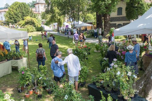 Menta e Rosmarino: a Miasino torna la kermesse tra botanica, arte e design nel weekend Menta e Rosmarino: a Miasino torna la kermesse tra botanica, arte e design nel weekend
