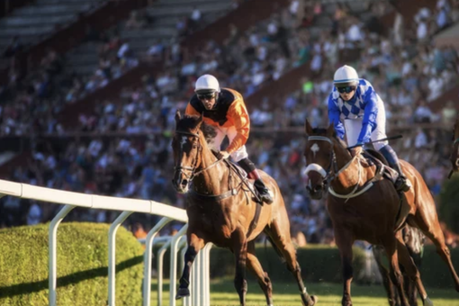 Quali sono i tipi di scommesse sulle corse di cavalli?