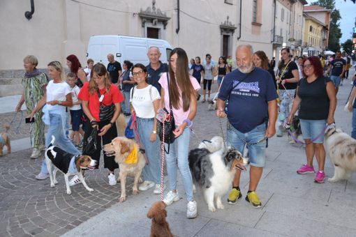 Borgomanero invaso dagli 'amici a 4 zampe': una serata di gioia e solidarietà