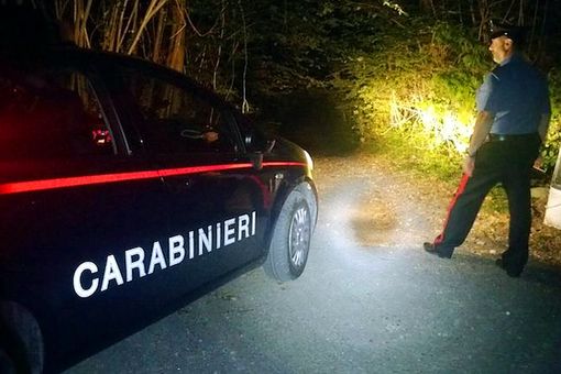 Cronaca nord-ovest: con l'auto urta un animale selvatico, serata da dimenticare per un 36enne Cronaca nord-ovest: con l'auto urta un animale selvatico, serata da dimenticare per un 36enne