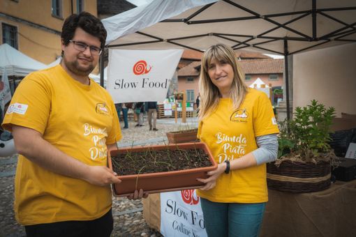 Parte il Mercato della Terra delle Colline Novaresi