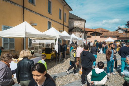 Il Mercato della Terra delle Colline Novaresi approda a Cureggio in occasione di &quot;Naturale!&quot;