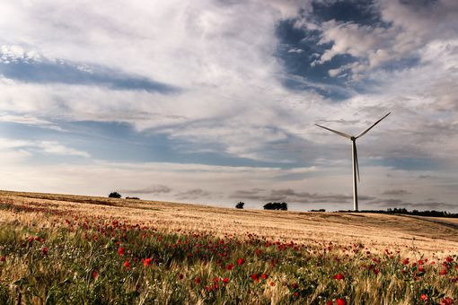 In inverno boom di conserve con il meglio del Made in Piemonte