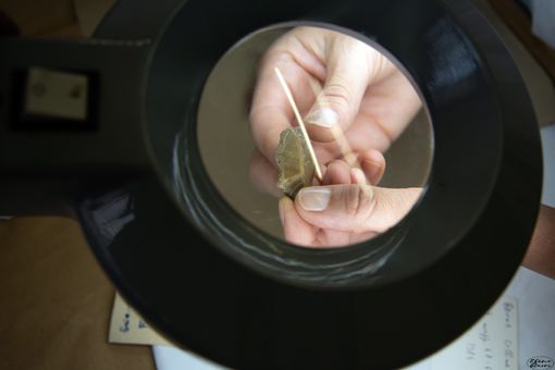 Nuovo ritrovamento inatteso dallo scavo archeologico:  «Un'anfora per la conservazione dell'olio, è la prima in Piemonte» Nuovo ritrovamento inatteso dallo scavo archeologico:  «Un'anfora per la conservazione dell'olio, è la prima in Piemonte»