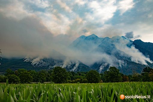Incendi, l'appello dei forestali: "Serve una gestione attiva dei boschi" Incendi, l'appello dei forestali: "Serve una gestione attiva dei boschi"