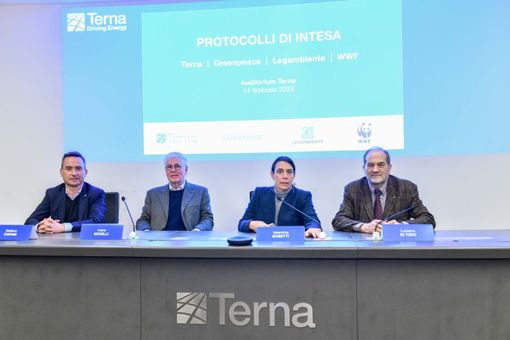 Terna: infrastrutture elettriche più sostenibili grazie all'intesa con Greenpeace, Legambiente e Wwf Terna: infrastrutture elettriche più sostenibili grazie all'intesa con Greenpeace, Legambiente e Wwf
