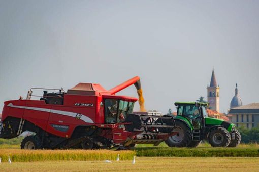 Fiera agricola e artigiana di Trecate: ancora pochi giorni per le adesioni Fiera agricola e artigiana di Trecate: ancora pochi giorni per le adesioni