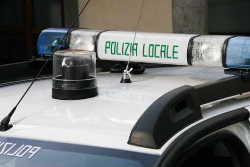 Macabro ritrovamento a Cameri: sacchi con resti di animali mutilati