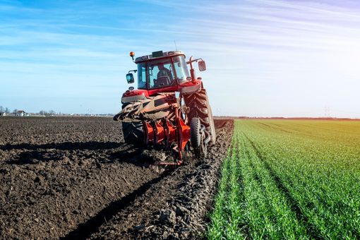 Coldiretti Piemonte, 2025 anno strategico in Europa: soldi Pac solo ai veri agricoltori Coldiretti Piemonte, 2025 anno strategico in Europa: soldi Pac solo ai veri agricoltori