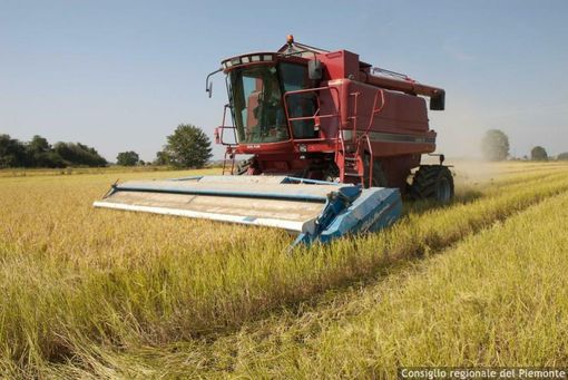 Caporalato in agricoltura, la Commissione Legalità: “Fenomeno complesso, servono interventi strutturali” Caporalato in agricoltura, la Commissione Legalità: “Fenomeno complesso, servono interventi strutturali”