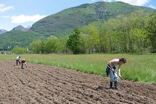 Bonus “donne in campo” 2020, i requisiti e le modalità di accesso