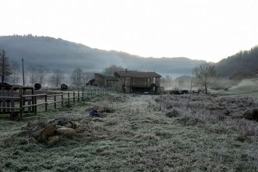Parte domani il secondo week end delle ‘Stagioni del Qaudrifoglio’ Parte domani il secondo week end delle ‘Stagioni del Qaudrifoglio’