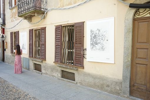 Herbarium vagans lascia l’Ossola per approdare sul Lago d’Orta