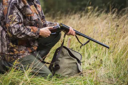 Domenica inizia la stagione di caccia, Coldiretti Torino chiede un aumento dei cinghiali abbattuti