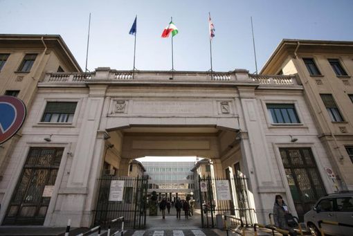 Donazione di organi, in Piemonte crollano i consensi: dall’80 al 60% dopo la pandemia