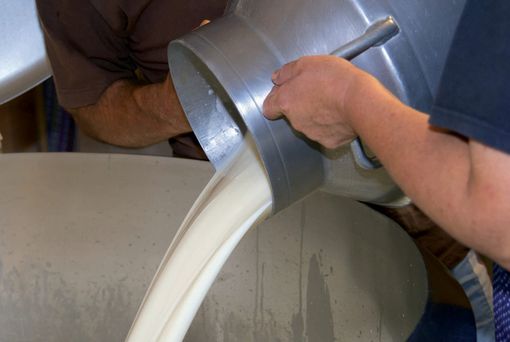 Cia Piemonte denuncia: &quot;Latte più caro della benzina, ma le stalle rischiano la chiusura&quot;