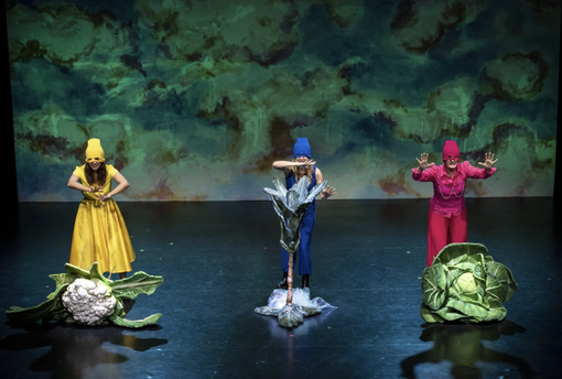 Foto Francesco Capitani Foto Francesco Capitani