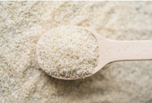 Il riso italiano al centro del dibattito al Teatro Civico di Vercelli