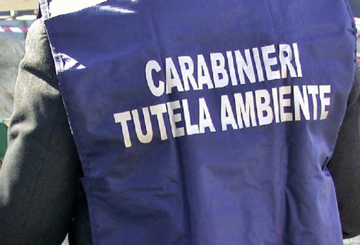 Traffico illecito di rifiuti, coinvolto anche l'ex patron del Novara Calcio Maurizio Rullo