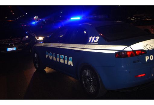 Pitbull attacca un maltese durante una lite in strada a Sant’Agabio: salvato dalla Polizia