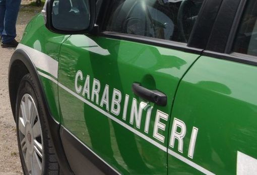 Fanno motocross nelle risaie: sequestrate dai Carabinieri forestali 3 moto