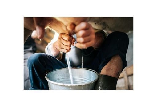 Coronavirus, la Regione propone il “Patto del Latte” per mantenere gli accordi di filiera