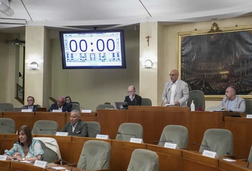 Seduta aperta del Consiglio regionale per la Festa del Piemonte Seduta aperta del Consiglio regionale per la Festa del Piemonte