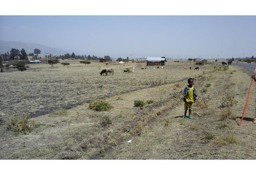 Siccità, il Piemonte oggi chiederà l'allerta rossa: "Altri Comuni a rischio stop notturno acqua" Siccità, il Piemonte oggi chiederà l'allerta rossa: "Altri Comuni a rischio stop notturno acqua"