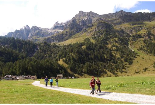Piemonte protagonista nel bando per guida turistica: oltre 1.100 candidature Piemonte protagonista nel bando per guida turistica: oltre 1.100 candidature