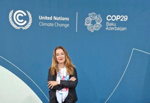 Prevenzione sul territorio: l'Aib rimuove un grosso tronco nell'Agogna a Briga Novarese