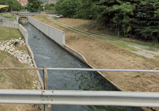 Grignasco: basta animali morti nel canale, quasi 300 firme per la petizione online 