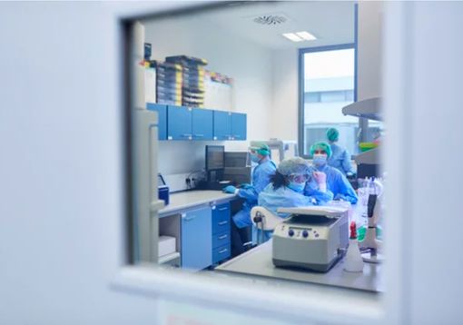 Covid Piemonte: oggi registrati 650 nuovi casi, stabili i ricoveri in terapia intensiva